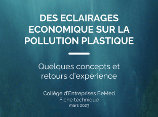 Fiche technique – Economie et plastique...