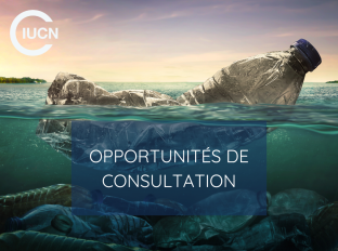 L’UICN recrute 2 consultants...